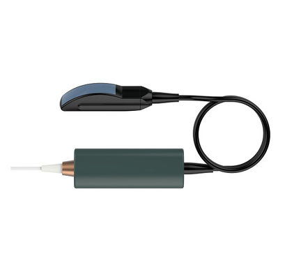 Handheld Veterinary Ultrasound Scanner for Bovine and Equine Pregnancy Diagnosis