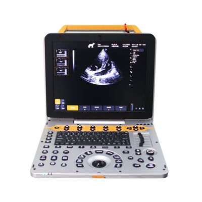 15 inch P60V Portable Veterinary Color Doppler Ultrasound System for Small Animal Clinics