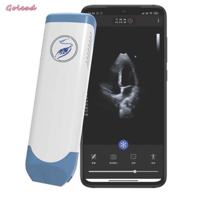 Buy 3.6MHz Portable Wireless Ultrasound Probe Phased Array Transducer online manufacture