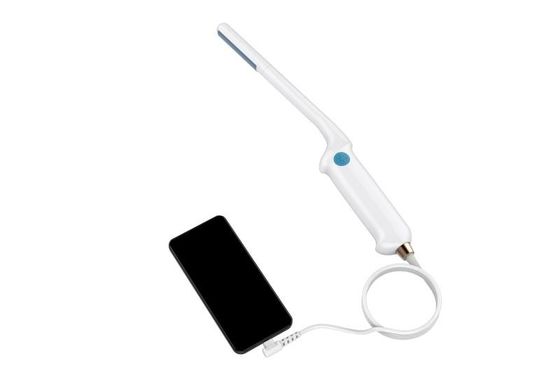Buy Endocavitary Probe Universal Vet Ultrasound Machine 80 Element online manufacture