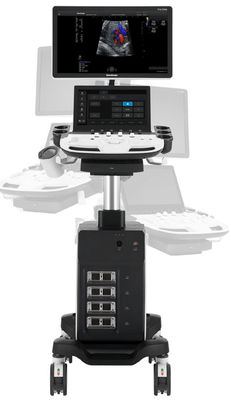 Buy 5D Trolley Sonoscape Echo Machine P11 Elite With 4 Transducer Connectors online manufacture