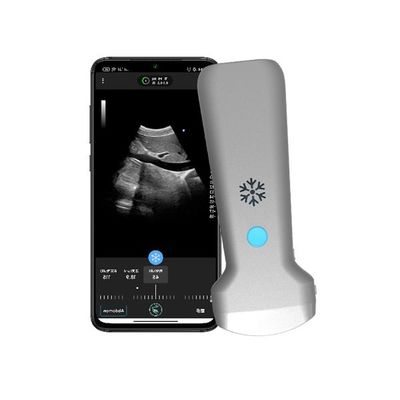 Buy ISO13485 Wireless Convex Handheld Ultrasound Scanner | Portable Color Doppler Ultrasound Probe online manufacture