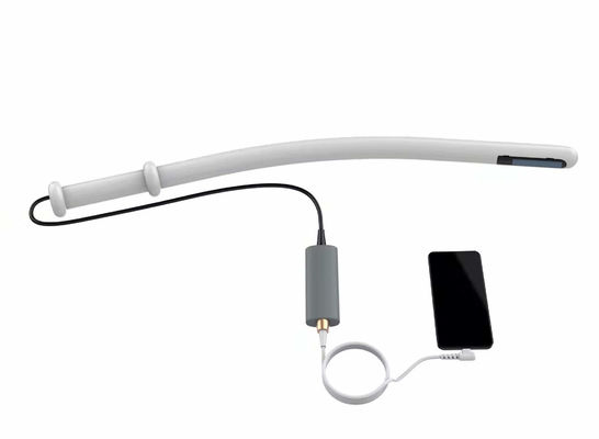 Buy Veterinary Ultrasound System Bovine Ultrasound Machine 4.0MHz 6.0MHz 8.0MHz online manufacture