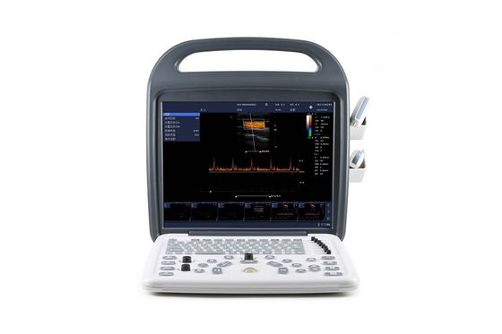 Buy DCU10 Portable Color Doppler Ultrasound System with 15-inch HD Display for OB/GYN, Abdomen and Cardiac Imaging online manufacture
