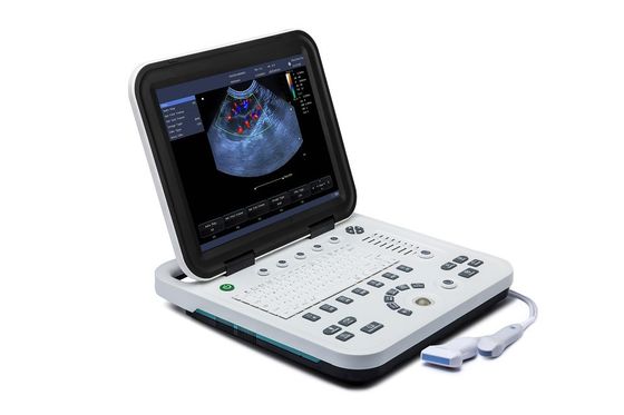Buy 15'' LCD Display Portable Vet Ultrasound Machine Veterinary Use online manufacture