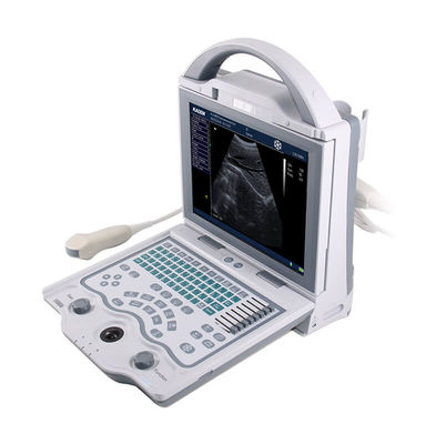 Buy 10.4'' LED Display Portable Laptop Veterinary Ultrasound Machine 256 Frames online manufacture