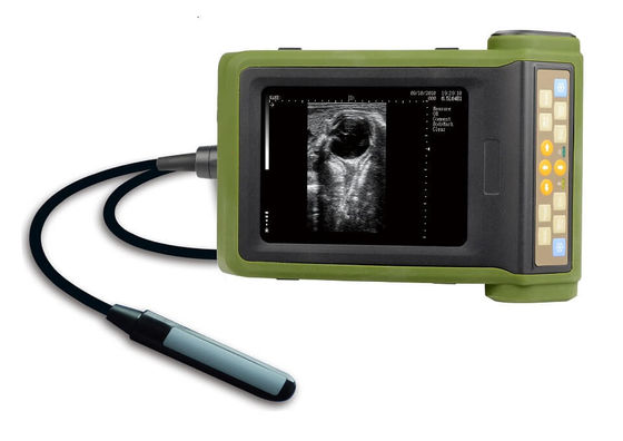 Buy Portable Livestock Ultrasound Machine for Pregnancy Diagnosis and Follicular Aspiration online manufacture