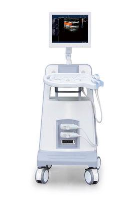 Buy Entry Level Trolley Color Doppler Ultrasound Ultrasonic Diagnostic Instrument 500GB online manufacture