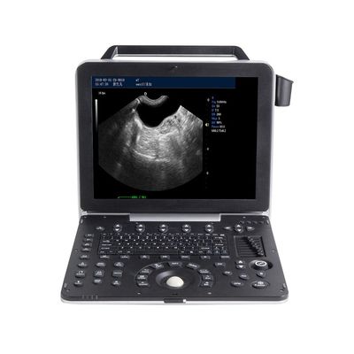 Buy 15'' LCD Portable Veterinary Ultrasound Machine 2D Gray Scale Imaging online manufacture
