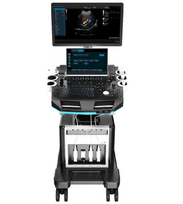 Buy Ergonomic Console 64 Channel Portable Veterinary Ultrasound Machine For Animals online manufacture