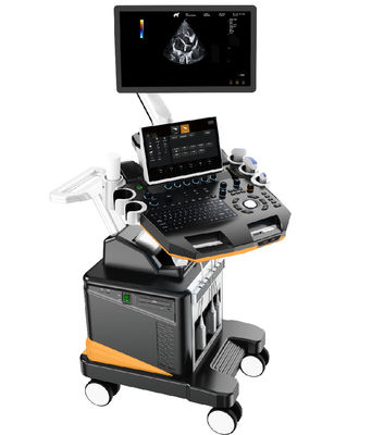 Buy 3D/4D Color Doppler Veterinary Ultrasound Machine Professional Small Animal Imaging System with 21.5'' LCD online manufacture