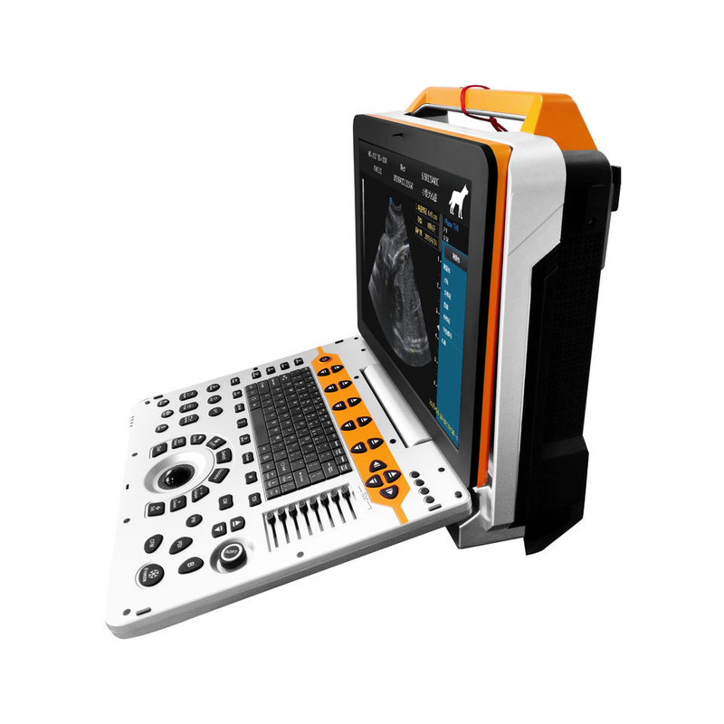 15 inch P60V Portable Veterinary Color Doppler Ultrasound System for Small Animal Clinics